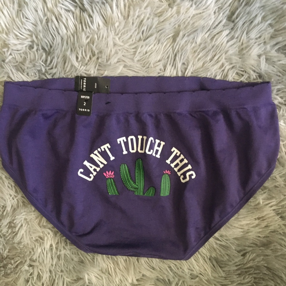 TORRID Hipster Panties
